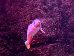 -沈阳海洋探索中心