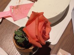 -佐度王子扒房(爱建卓展店)