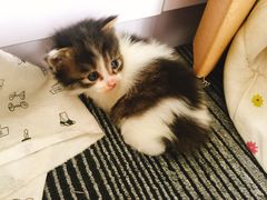 -五月木作·DIY木作文创体验店(北京路店)