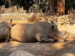-北京野生动物园