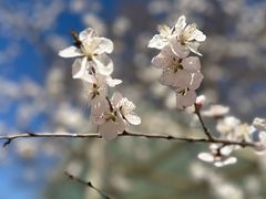 -林栖谷森林康养度假区
