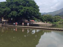 -福建土楼（南靖）云水谣景区-和贵楼