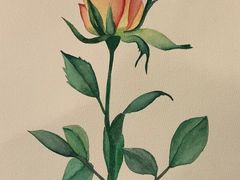 -六出私塾LiuChu•成人美术书法系统课程专业画室(熊婆婆的花园店)