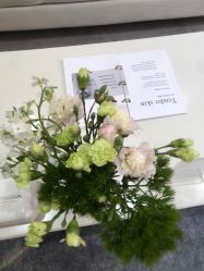 -HEYAN荷妍专业脱毛连锁机构