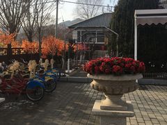 -大连步云山老汤度假山庄