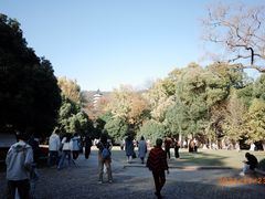 -灵谷景区