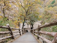 -北京凤凰岭