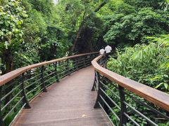 -深圳仙湖植物园