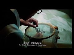 -上海金逸影城(静安大悦城店（原新恒星影城）)