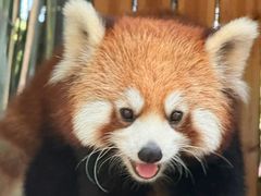 -宁波野生动物园