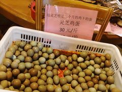 -园林美食城·本土农家菜(杨和镇店)