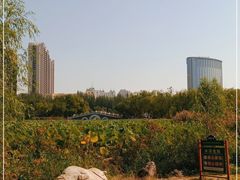 -青城公园