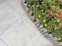 -石炮台公园