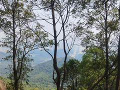 -阳台山森林公园