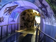 -房山世界地质公园博物馆
