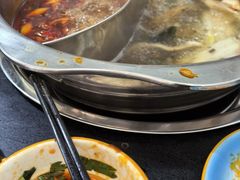 -金鼎雪山牦牛杂火锅(理县总店)