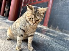 -闽龙广场