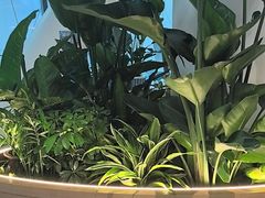 -贝林大翅鲸简餐厅(国家海洋博物馆店)