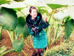 -重庆彩云湖湿地公园