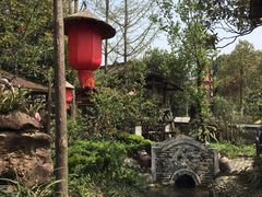 -青城甲(青城山店)