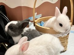 -大象厨房(重庆道店)