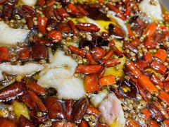 -雲蜀龙阁·金牌水煮鱼(方庄店)