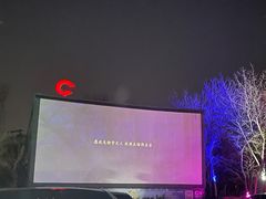 -枫花园汽车电影院(朝阳公园店)