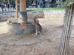 -石家庄市动物园