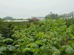 -长春农博园