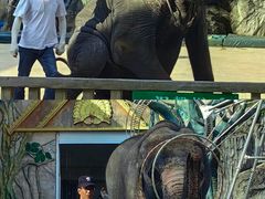 -贵州森林野生动物园