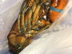 -盒马鲜生(大成店)