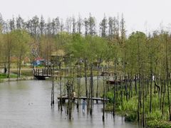 -上海长兴岛郊野公园