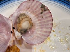 -金狮国际酒店自助餐(金狮店)