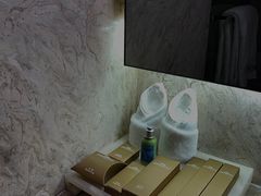 -武汉江城明珠豪生大酒店