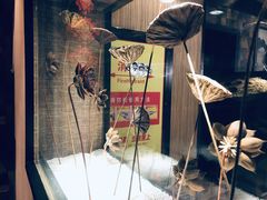 -额尔敦传统涮(公园西路店)