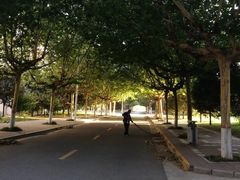 -陕西师范大学(雁塔校区)