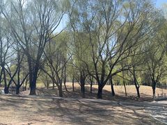 -长白岛森林公园