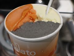 -Dip in Gelato(富民路店)
