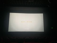 -万达影城(IMAX激光铁西万达广场店)