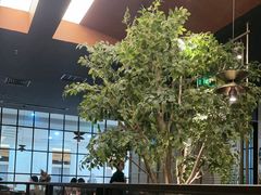 -同仁四季椰子鸡(海岸城天利店)