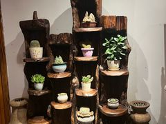-慢丽江·云南野生菌土鸡锅(西山店)