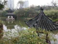 -水绘园