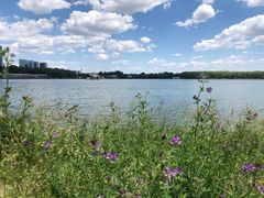 -大兴滨河森林公园