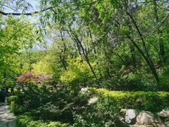 -大连植物园