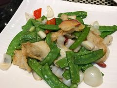 -新兴·金羊座·粤菜点心(乐峰店)