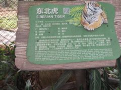 -海南热带野生动植物园
