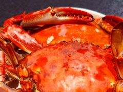-连鹭海鲜·海肠捞饭·海胆饭(星海店)