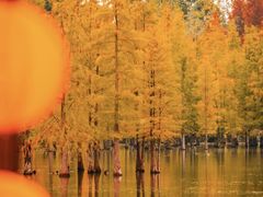 -白鹭湾湿地公园