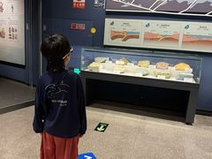 -湖南省地质博物馆