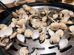 白贝-渔乐里(智荟城店)